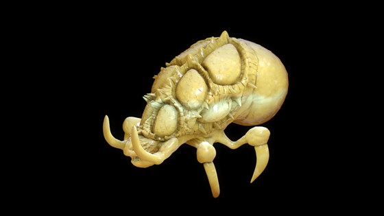 3D графика: 3D