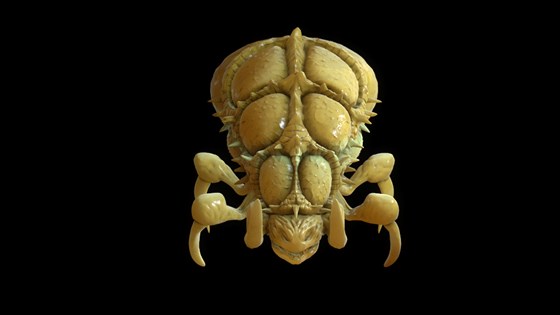 3D графика: 3D